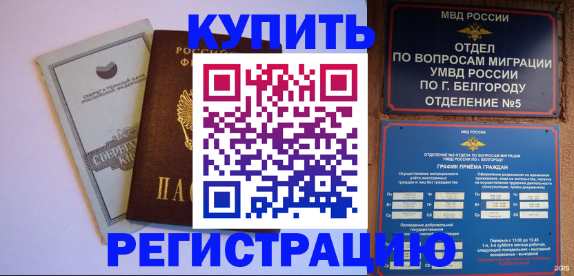 прописка гарантия в Трубчевске